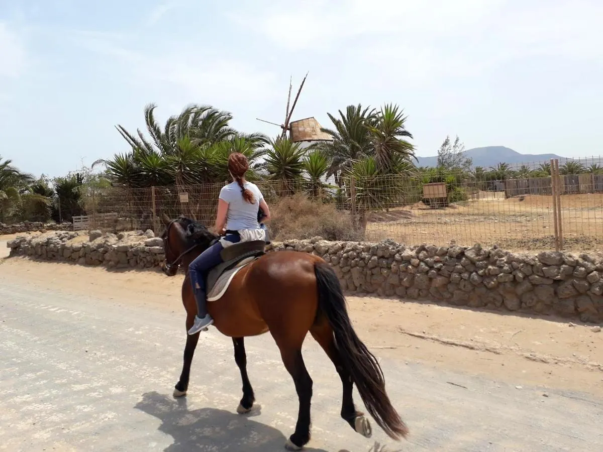 Vakantiehuis 2 Bedrooms House With Sea View And Wifi At El Cotillo 1 Km Away From The Beach Spanje