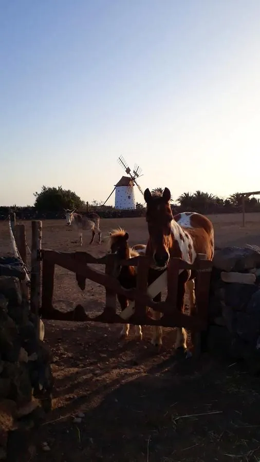Vakantiehuis 2 Bedrooms House With Sea View And Wifi At El Cotillo 1 Km Away From The Beach