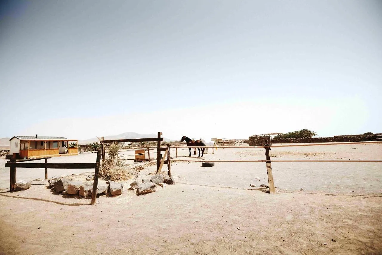 2 Bedrooms House With Sea View And Wifi At El Cotillo 1 Km Away From The Beach 0*,